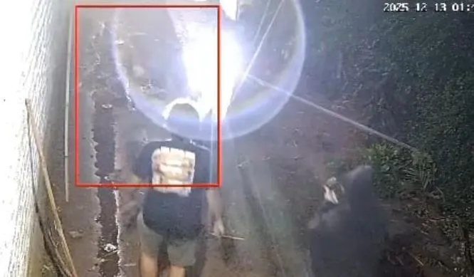 PKDI Beri Apresiasi Polisi Tembak Mati Pencuri Hewan di Bangkalan