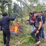 Polresta Malang Kota Bongkar Arena Judi Sabung Ayam