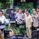 Polres Jombang Bongkar Budidaya Ganja di Rumah Kontrakan, 110 Batang Ganja Disita